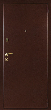 Дверь Порошок №32